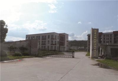 大型重力多片鋸 價格、特性與全自動圓木加工優勢