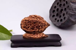 山東工藝美術(shù)學(xué)院研培學(xué)員創(chuàng)新產(chǎn)品設(shè)計(jì)大獎(jiǎng)賽喜獲佳績(jī)，彰顯收藏品鑒定評(píng)估服務(wù)價(jià)值